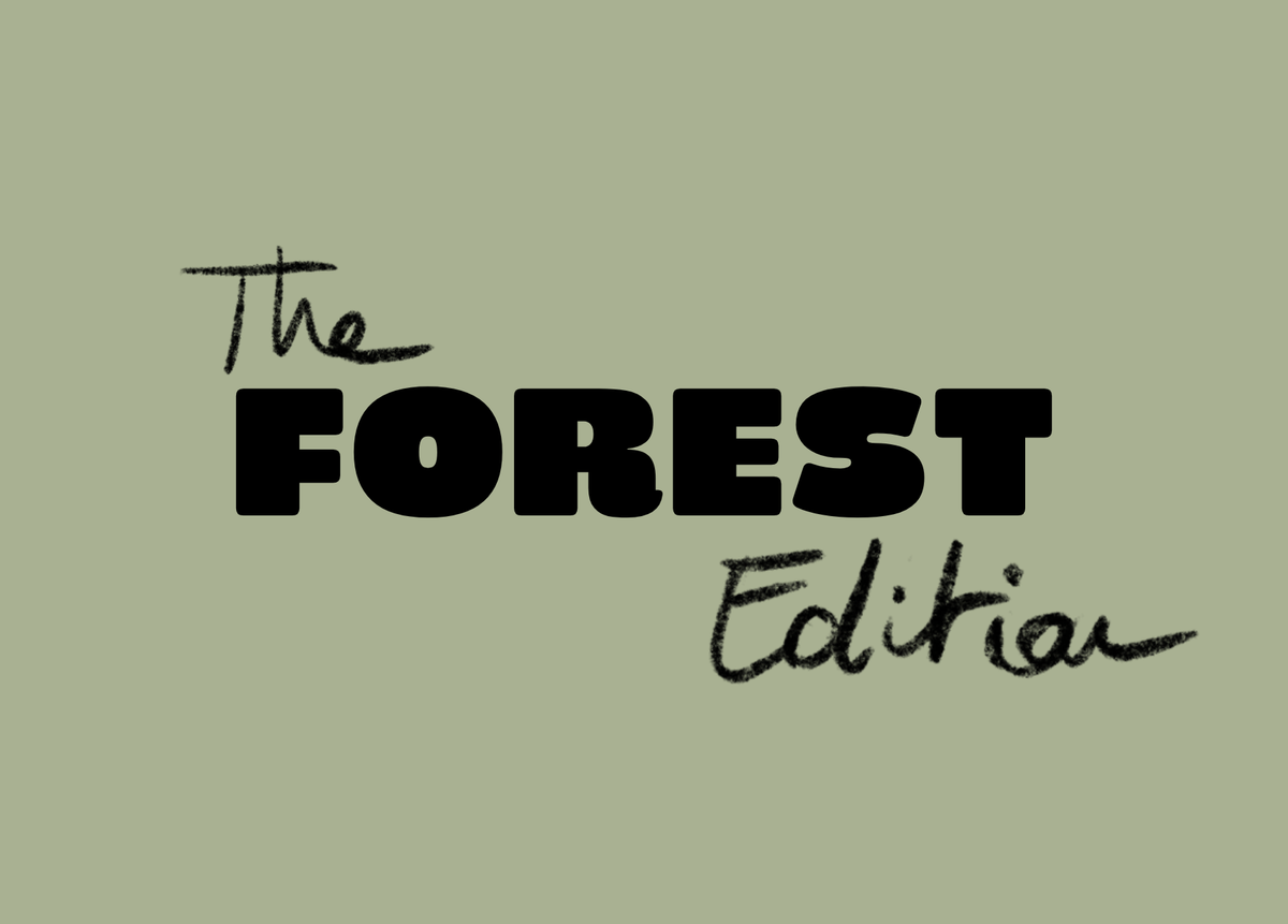 The FOREST edition — The Banff Punchcard by The Punchcards (Copie) THE PUNCHCARDS